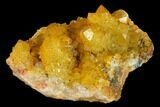 Sunshine Cactus Quartz Crystal Cluster - South Africa #132886-2
